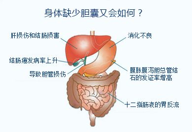 đYʯ؆᣿