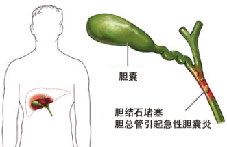 đYʯcđ׵Pϵ