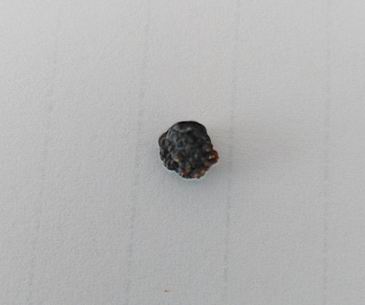 ݔܽYʯDƬ