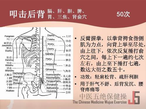 t(y)^ߵ󱳣ߵΡđƢθIѨ50