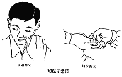 tָᘯĻַ