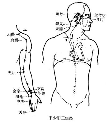 手少陽三焦經循行