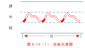 t}\֮t}