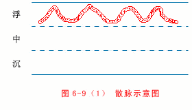 t}\֮ɢ}