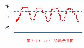 t}\֮}