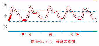 t}\֮L}