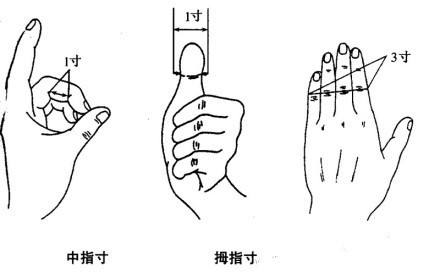 ָ綨λ